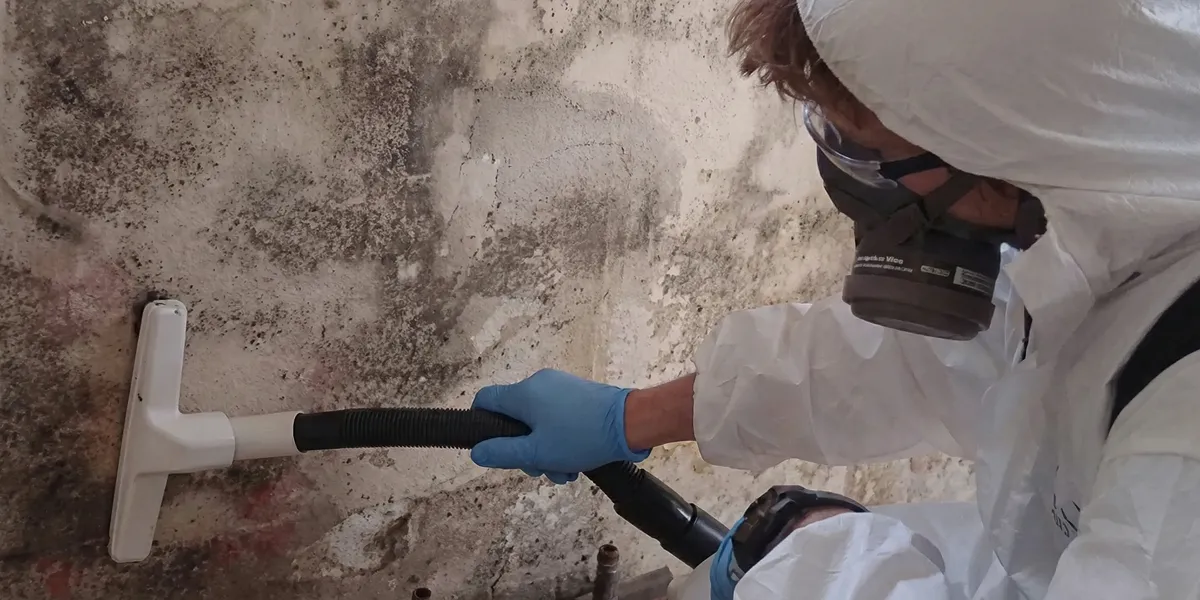 professional mold removal technician wearing protective equipment removing mold from a wall in Las Vegas, NV